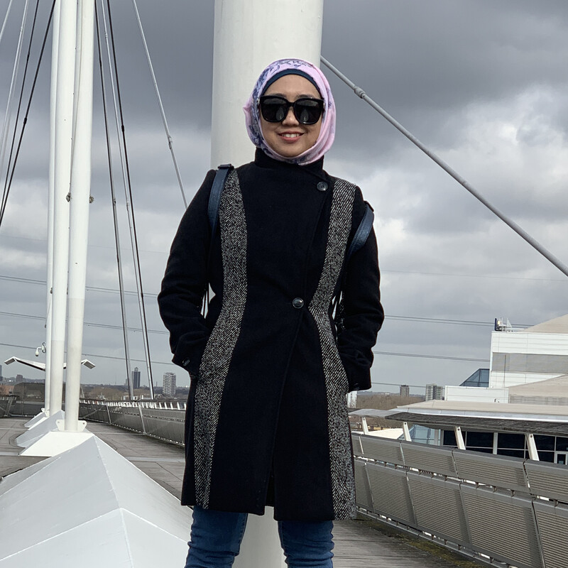 Anis Falina